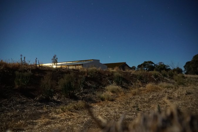 Piggery sheds outside at night