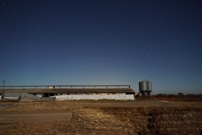 Piggery sheds outside at night