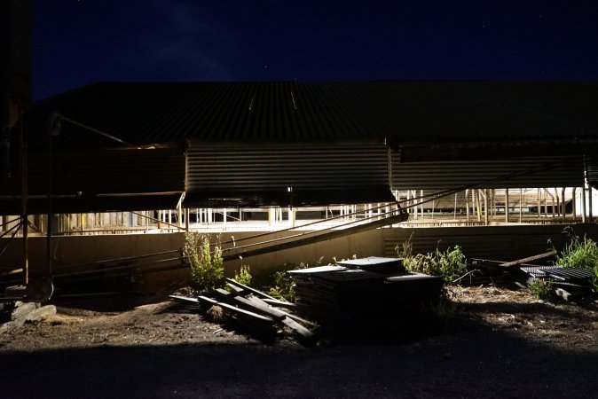 Piggery sheds outside at night