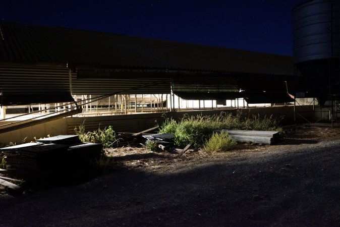 Piggery sheds outside at night