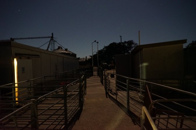 Piggery sheds outside at night