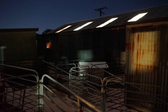 Piggery sheds outside at night