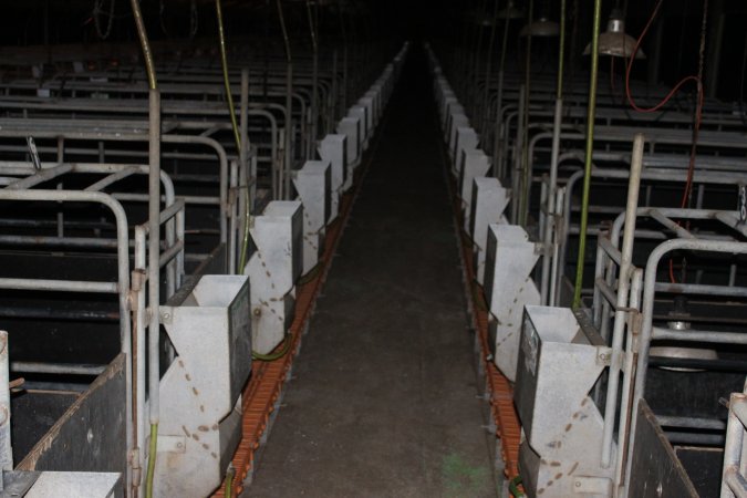 Looking down aisle of farrowing shed