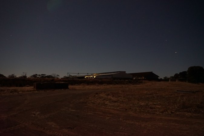 Piggery sheds outside at night