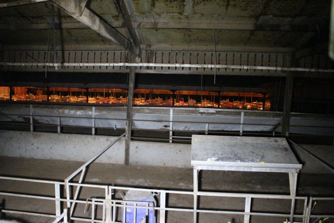 Farrowing shed visible through window