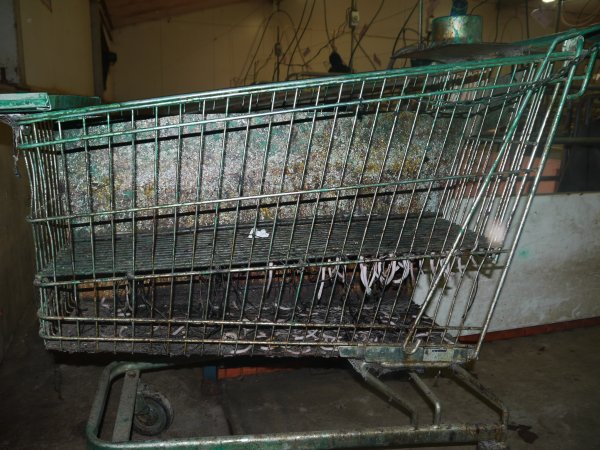 Farrowing crates at Grong Grong Piggery NSW