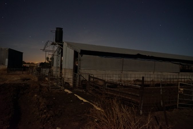 Piggery sheds outside at night