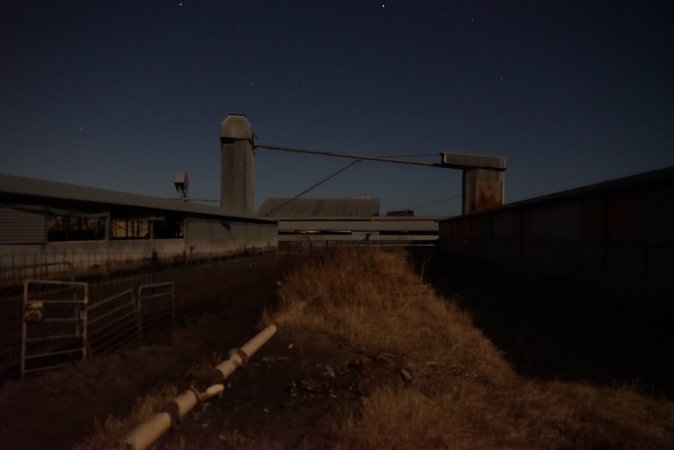 Piggery sheds outside at night