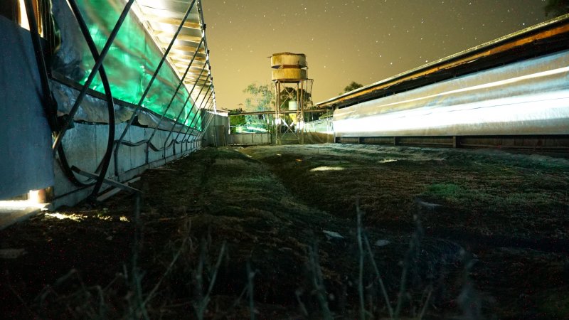 Piggery sheds outside at night