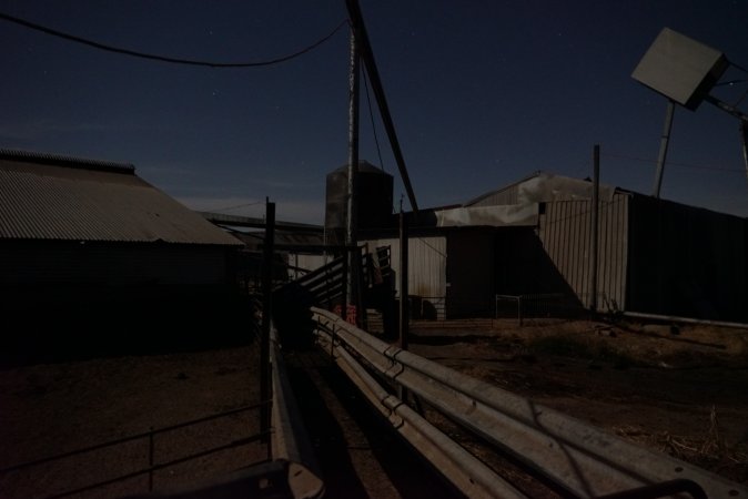 Piggery sheds outside at night