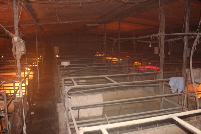 Farrowing crates