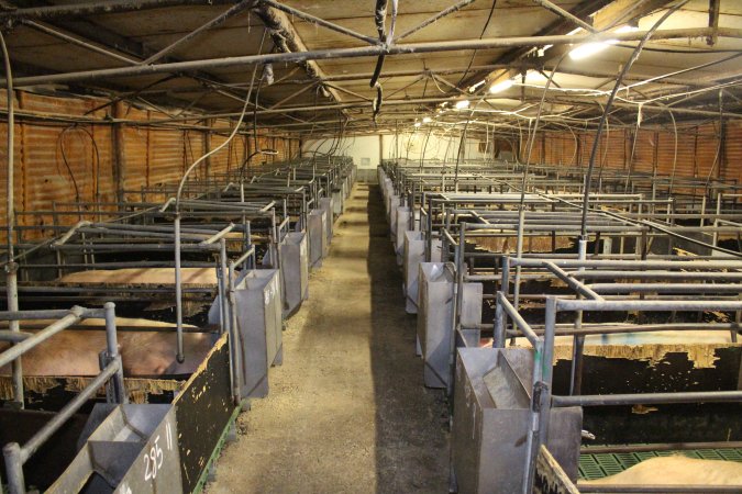 Farrowing crates