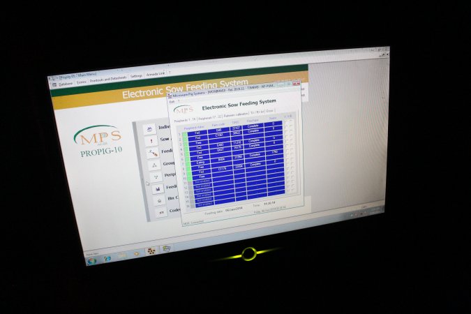 Electronic sow feeding system