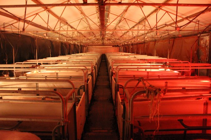 Farrowing crates