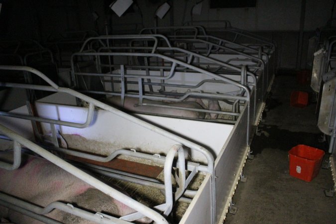 Farrowing crates