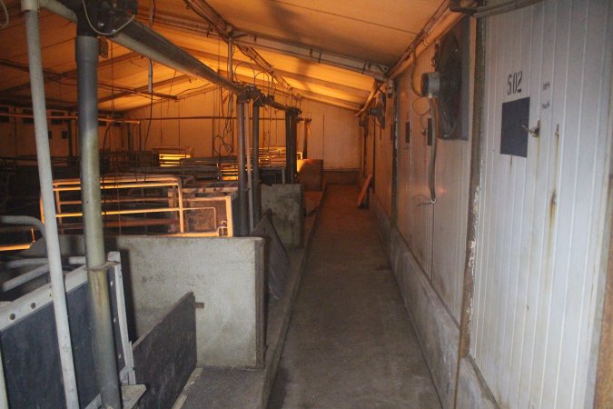 Farrowing crates