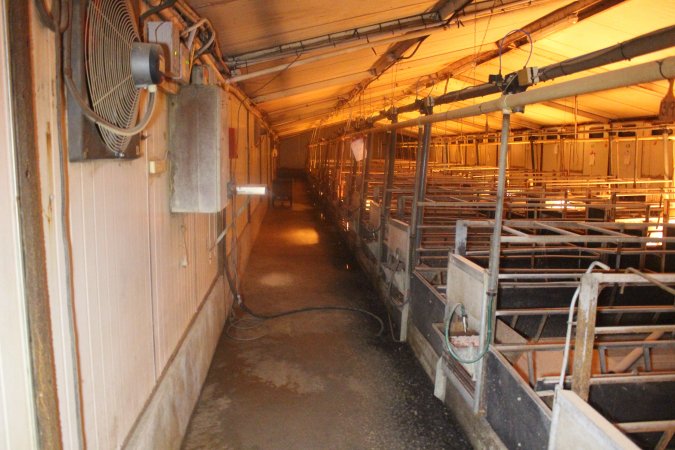 Farrowing crates