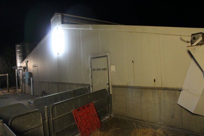 Door to dry sow shed from outside