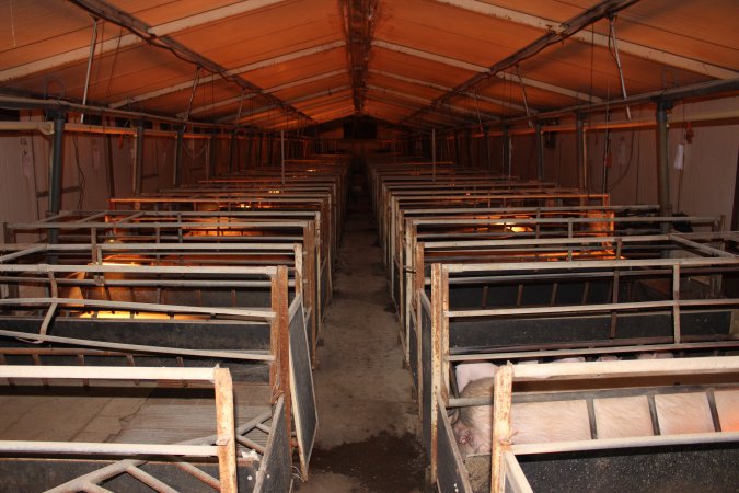 Farrowing crates