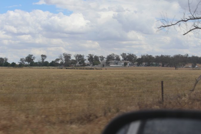 Corowa Slaughterhouse from public road, daytime