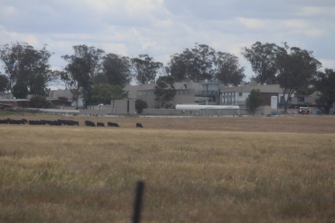 Corowa Slaughterhouse from public road, daytime