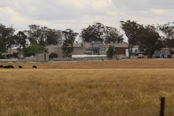 Corowa Slaughterhouse from public road, daytime