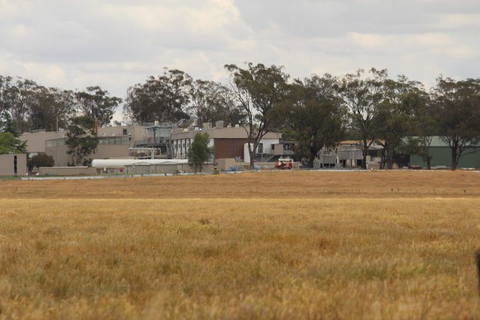 Corowa Slaughterhouse from public road, daytime