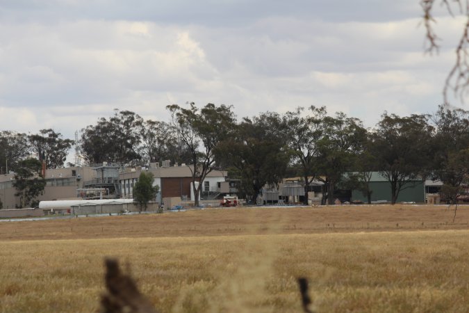 Corowa Slaughterhouse from public road, daytime