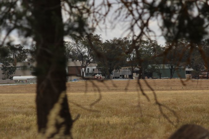 Corowa Slaughterhouse from public road, daytime