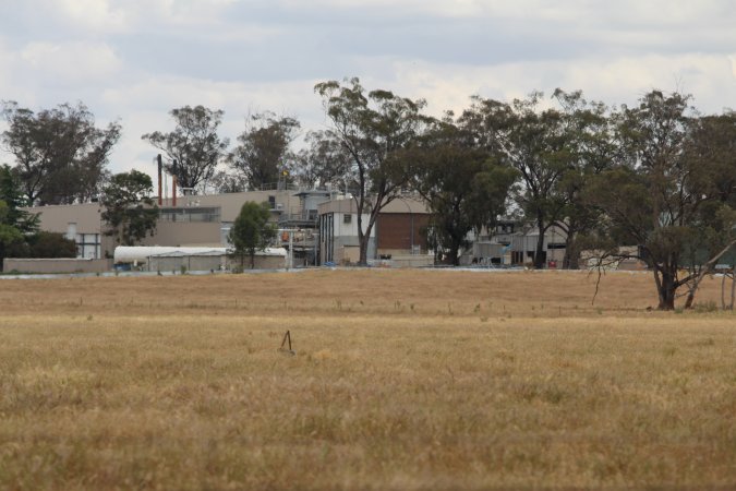 Corowa Slaughterhouse from public road, daytime