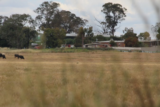 Corowa Slaughterhouse from public road, daytime