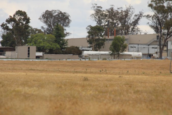 Corowa Slaughterhouse from public road, daytime