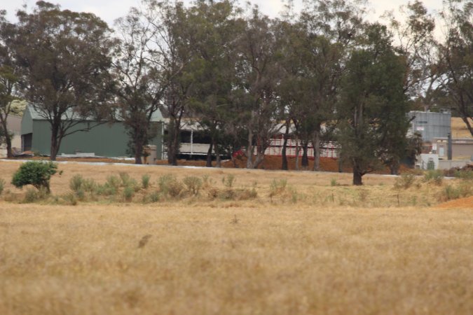 Corowa Slaughterhouse from public road, daytime