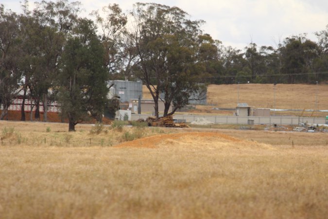 Corowa Slaughterhouse from public road, daytime