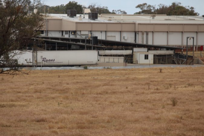 Corowa Slaughterhouse from public road, daytime