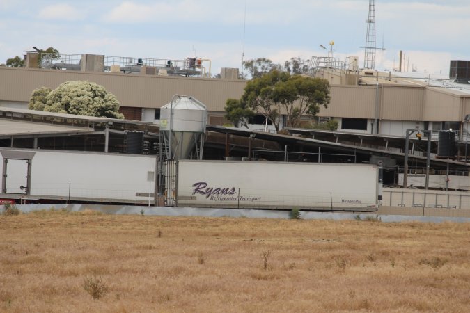 Corowa Slaughterhouse from public road, daytime