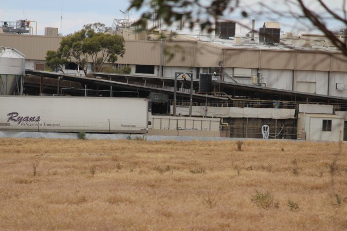 Corowa Slaughterhouse from public road, daytime