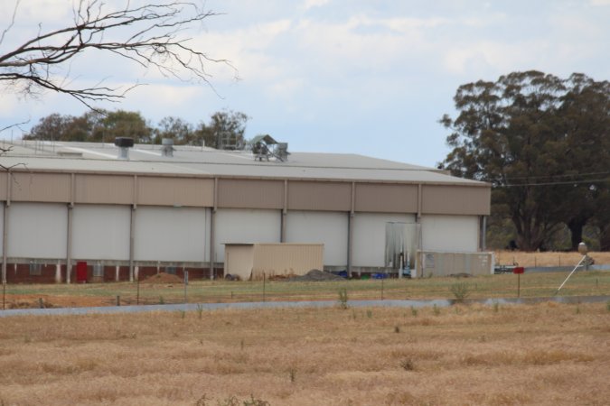 Corowa Slaughterhouse from public road, daytime