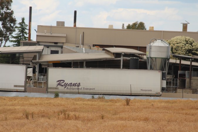 Corowa Slaughterhouse from public road, daytime