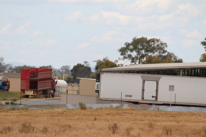Corowa Slaughterhouse from public road, daytime