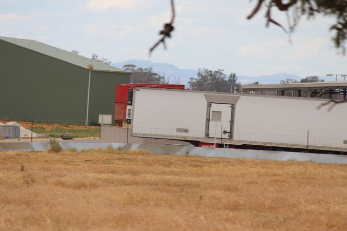 Corowa Slaughterhouse from public road, daytime