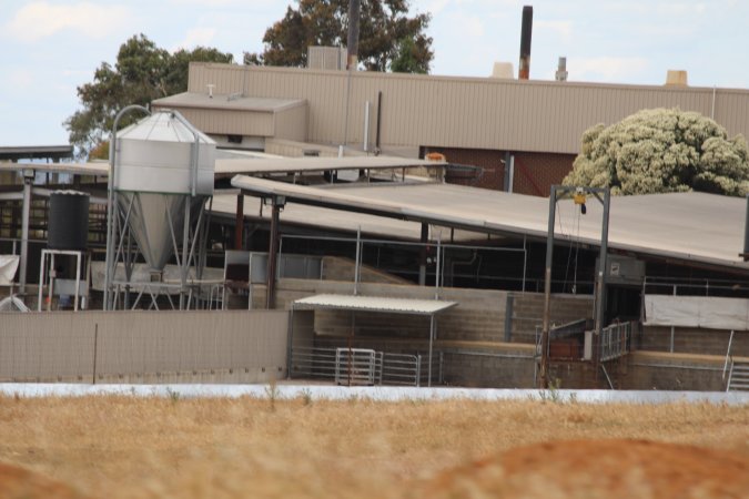 Corowa Slaughterhouse from public road, daytime
