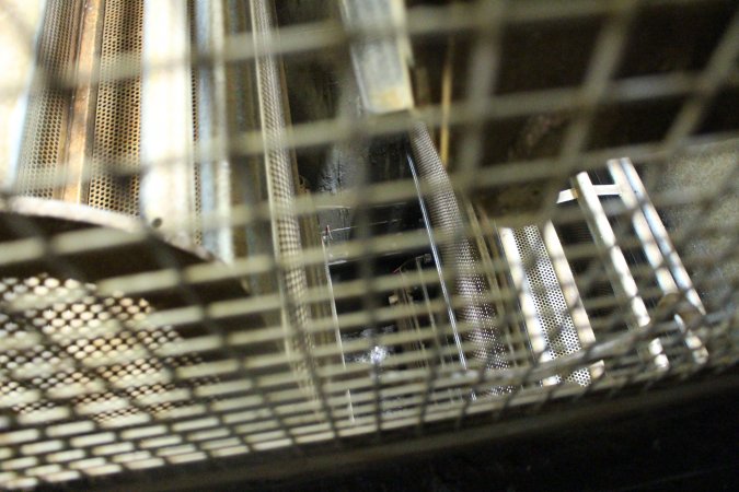 Gas chamber at Corowa slaughterhouse