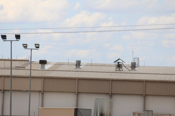 Corowa Slaughterhouse from public road, daytime