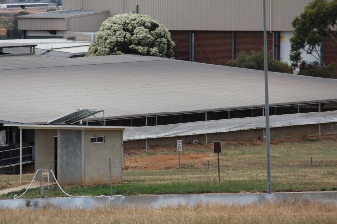 Corowa Slaughterhouse from public road, daytime