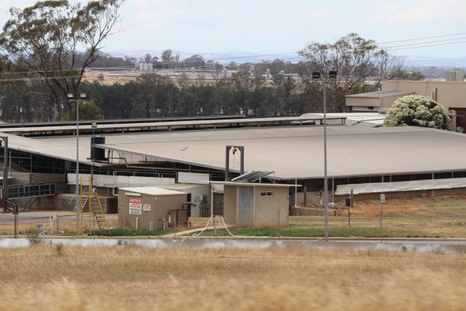 Corowa Slaughterhouse from public road, daytime