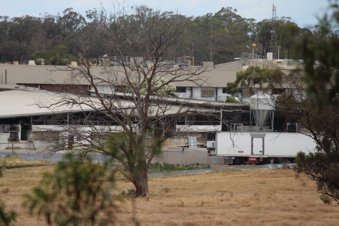 Corowa Slaughterhouse from public road, daytime