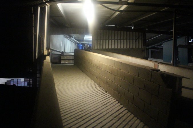 Ramp leading up from holding pens towards kill room