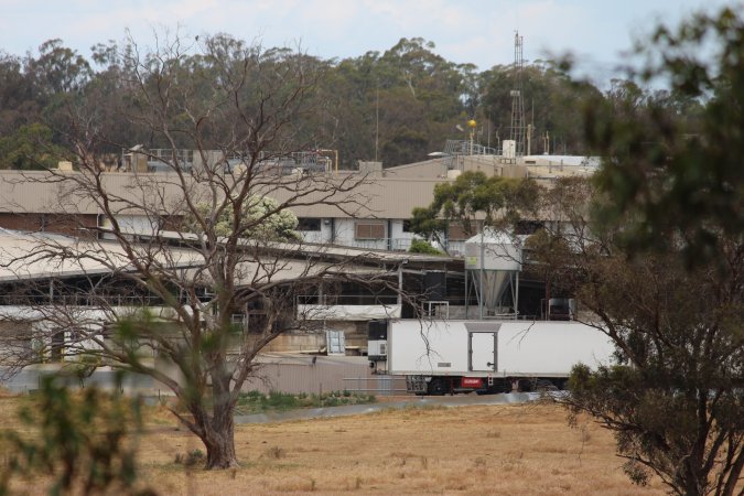 Corowa Slaughterhouse from public road, daytime