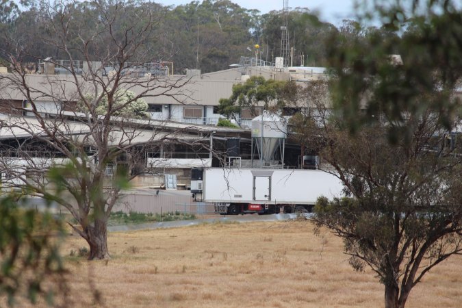 Corowa Slaughterhouse from public road, daytime